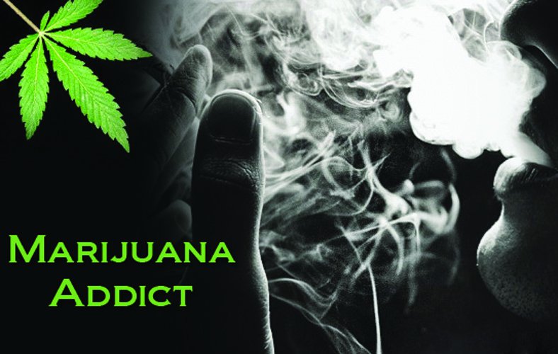 Marijuana Myths Weed Addiction