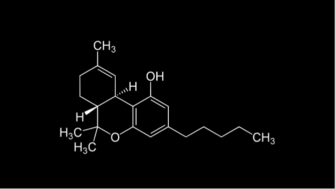 thc-in-body