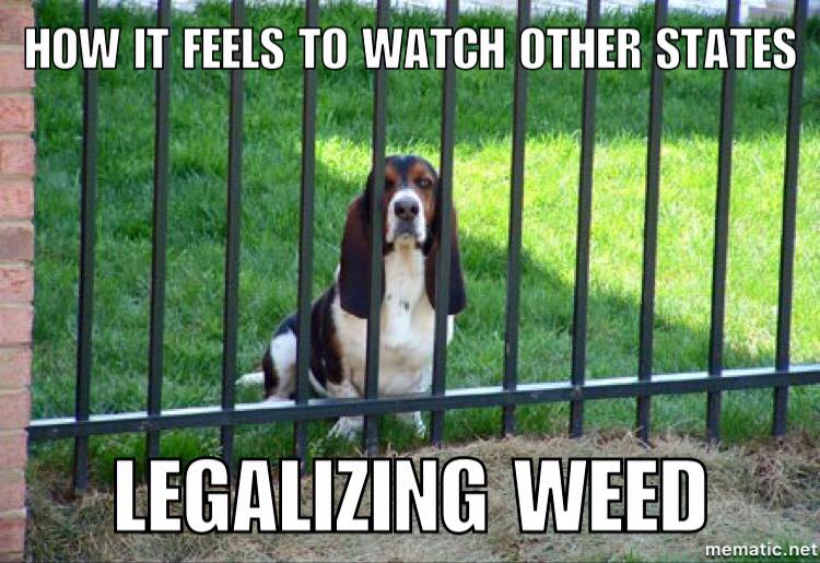 Weed Dog- Other states Legalize