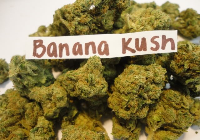 Banana Kush buds
