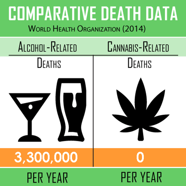 Cannabis Vs Alcohol 