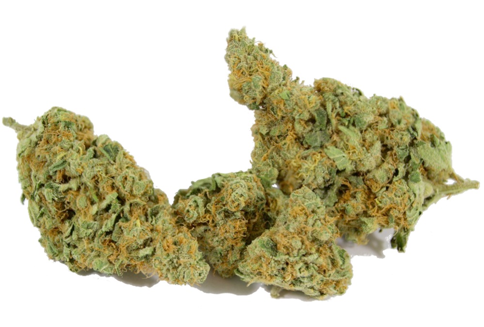 THC Snow marijuana strain review