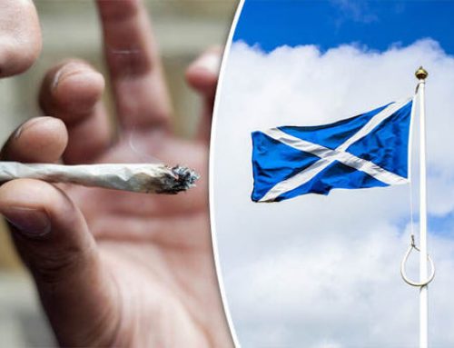 SNP Votes For Measures To Decriminalise Cannabis