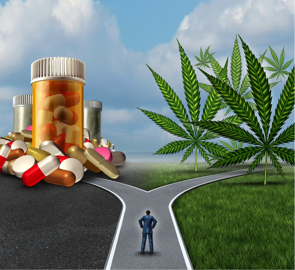 More pills or cannabis? You choose.