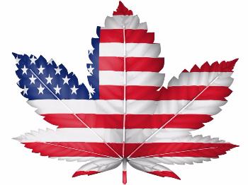 USA leads the way on Cannabis policy reform