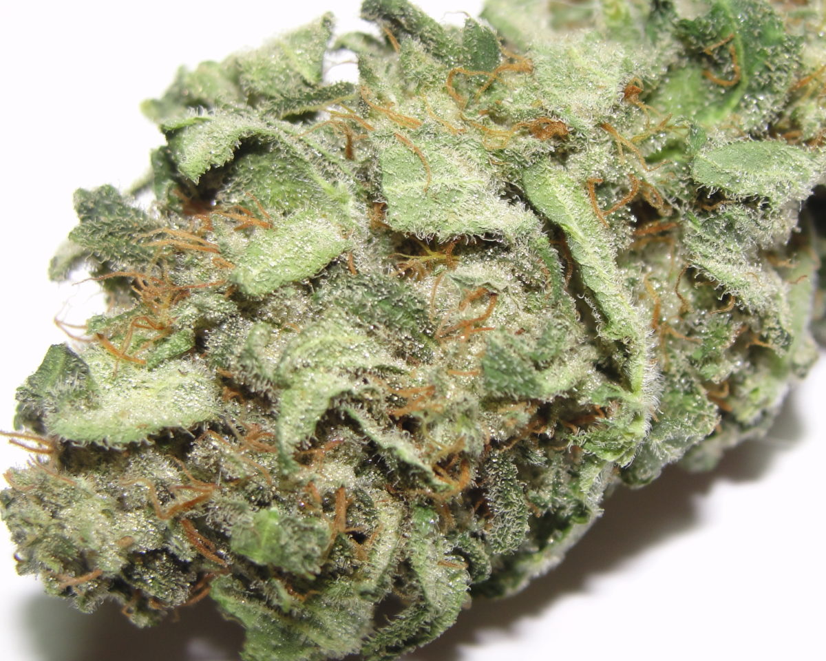 White Rhino - Indica Strain hitting 25% THC - Legalize it. We Think So