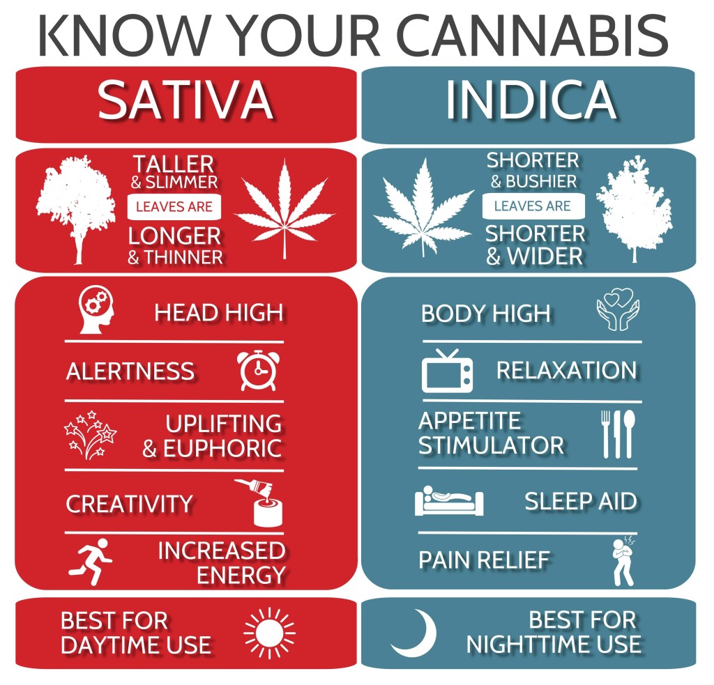 Indica and Sativa effects