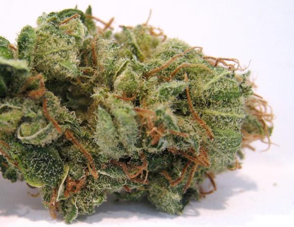Pineapple Express Cannabis nug