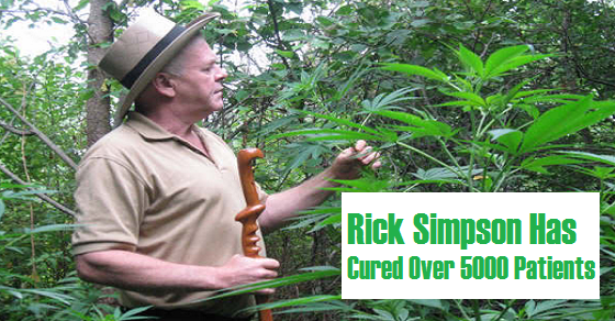 Rick Simposon Hash and Cannabis Oil Cures