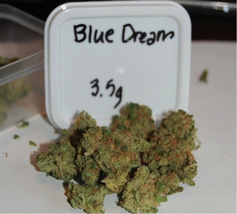 blue-dream Cannabis Strains For First-Time Growers