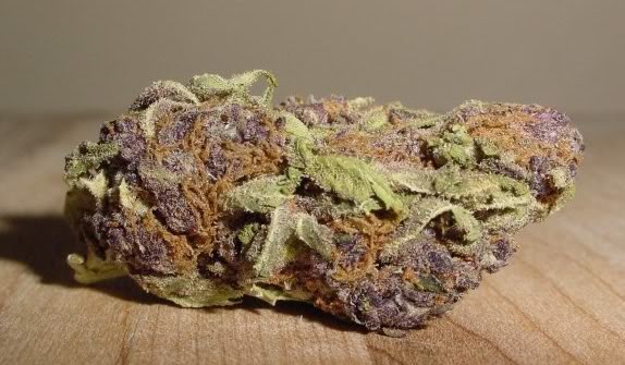 Purple Bud Cannabis strain