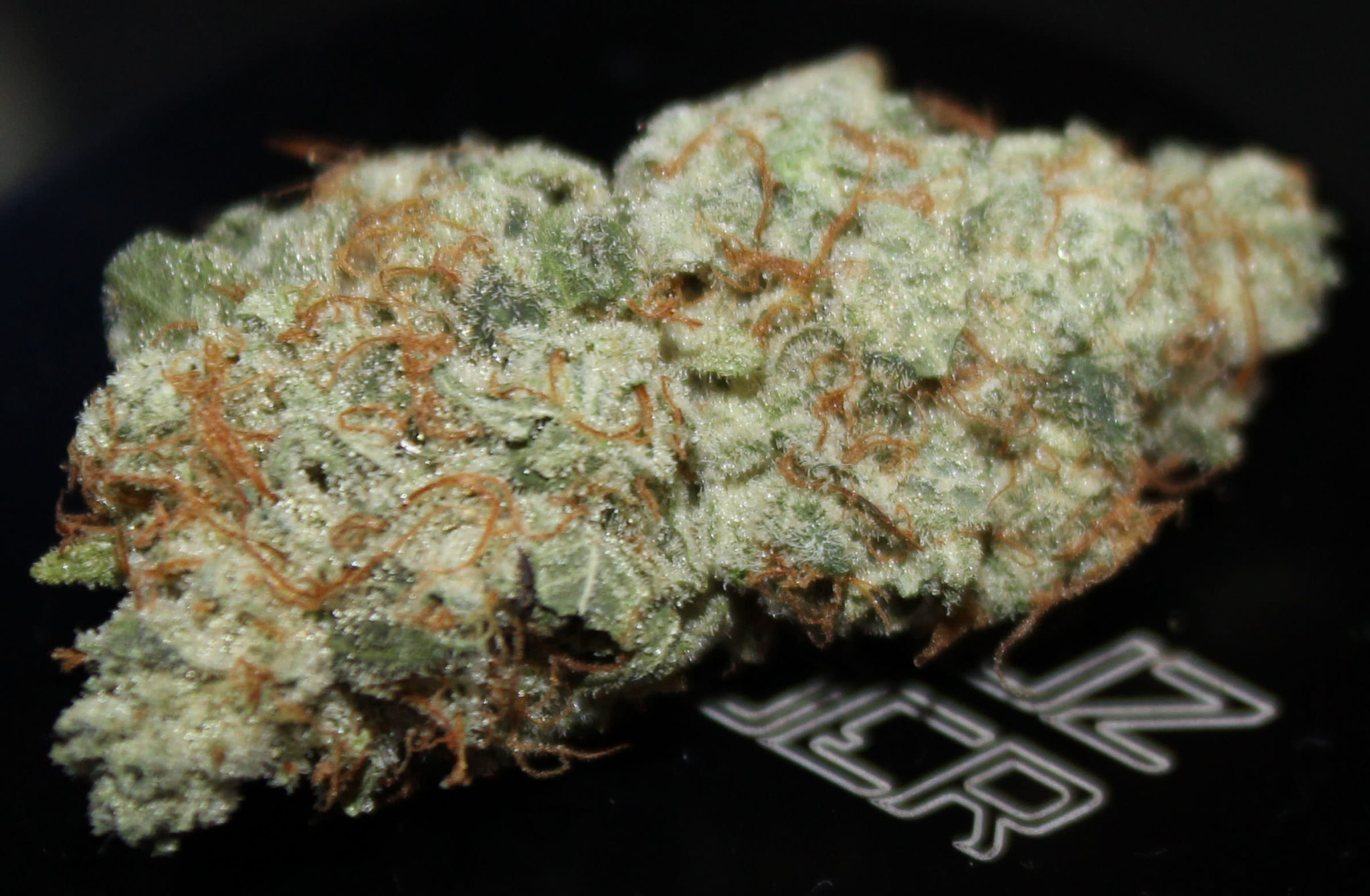 gorilla glue strain review.