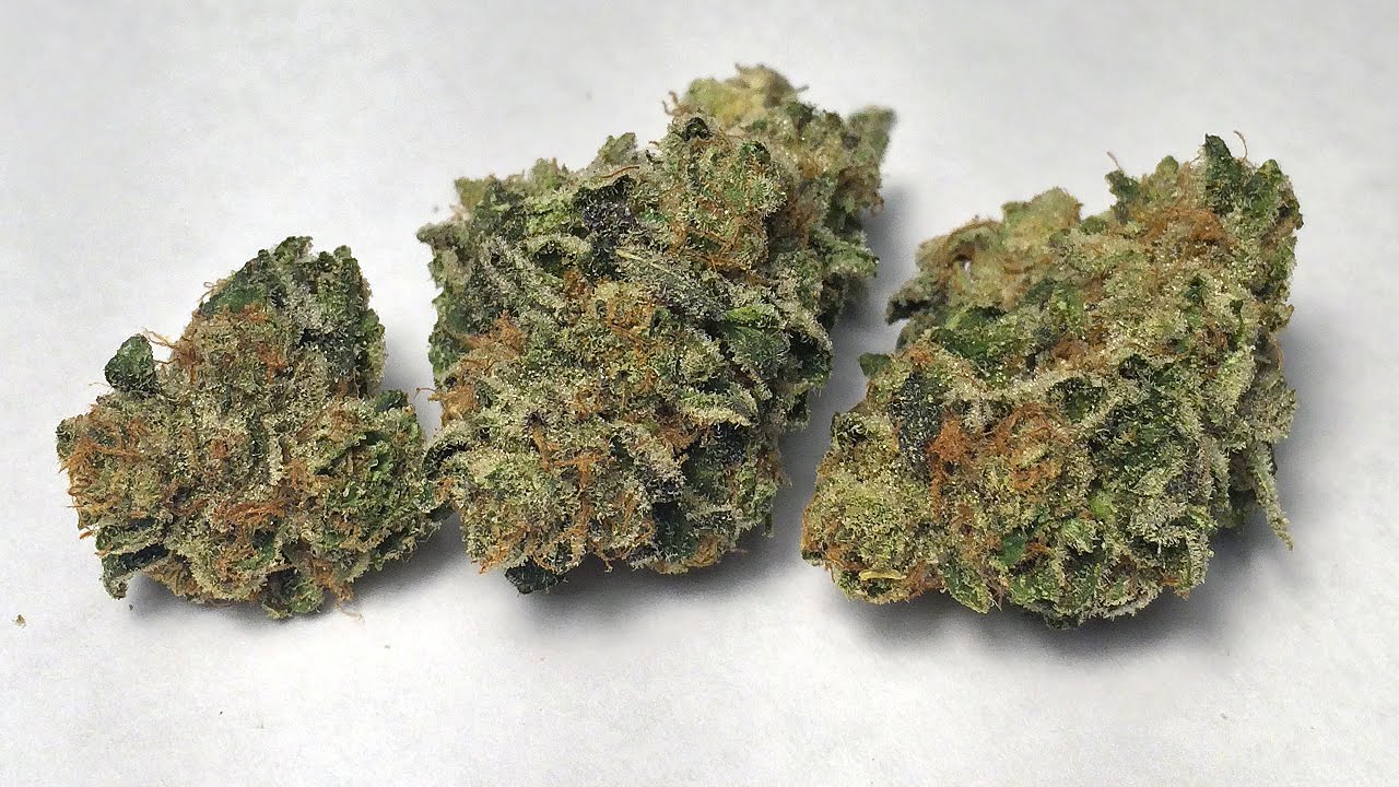Girl Scout Cookies Strain Review