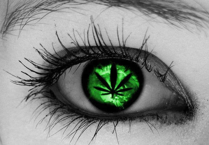Cannabis and Glaucoma Is It an Effective Treatment