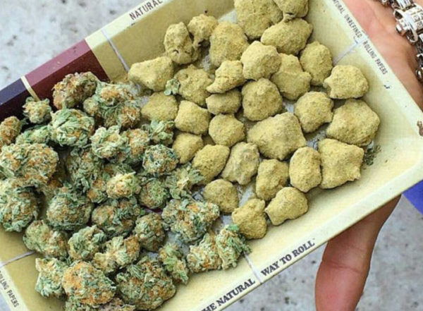 Moon Rocks: The World’s Strongest Weed? - Legalize it. We Think So