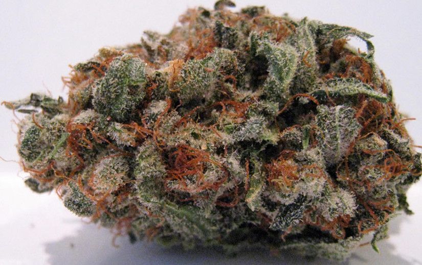 Best Tasting Marijuana Strains Fruity Pebbles